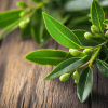 ingredient icon